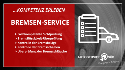 Bremsen-Service